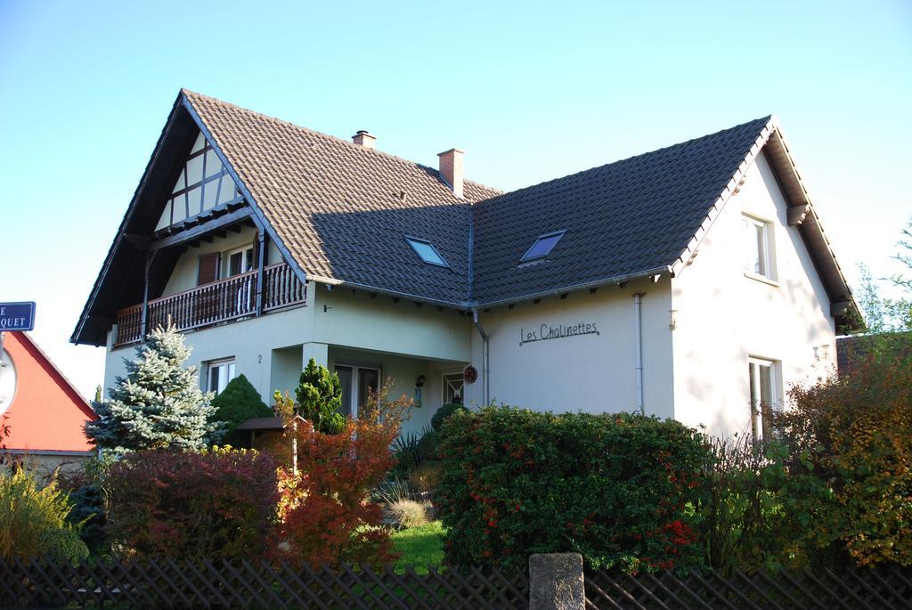 Chambres d'hôtes Les Chalinettes Fegersheim Exterior foto
